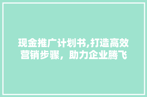现金推广计划书,打造高效营销步骤，助力企业腾飞