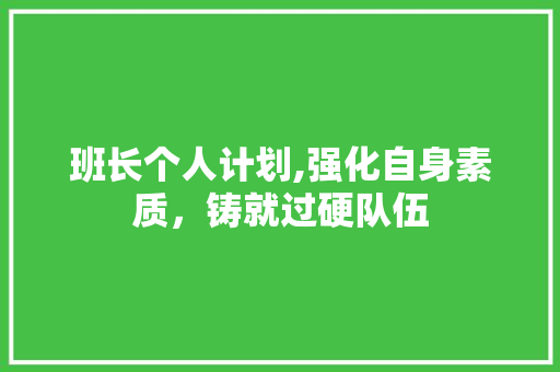 班长个人计划,强化自身素质，铸就过硬队伍