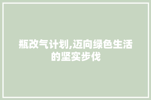 瓶改气计划,迈向绿色生活的坚实步伐 汉字拼音