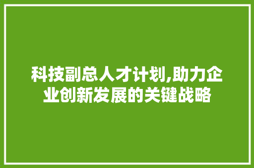 科技副总人才计划,助力企业创新发展的关键战略 成语汇编