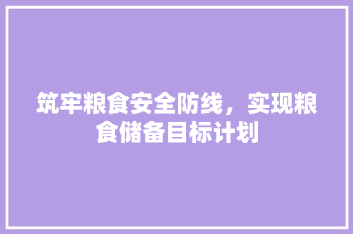 筑牢粮食安全防线，实现粮食储备目标计划