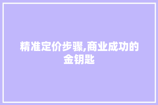 精准定价步骤,商业成功的金钥匙