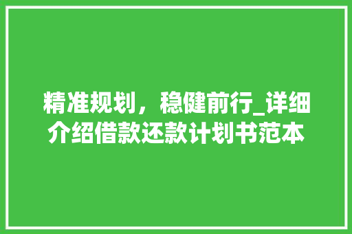 精准规划，稳健前行_详细介绍借款还款计划书范本