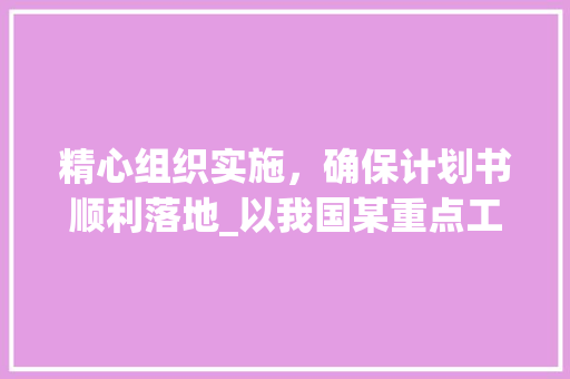 精心组织实施，确保计划书顺利落地_以我国某重点工程项目为例