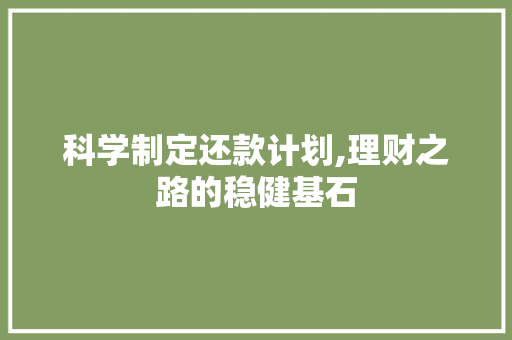 科学制定还款计划,理财之路的稳健基石