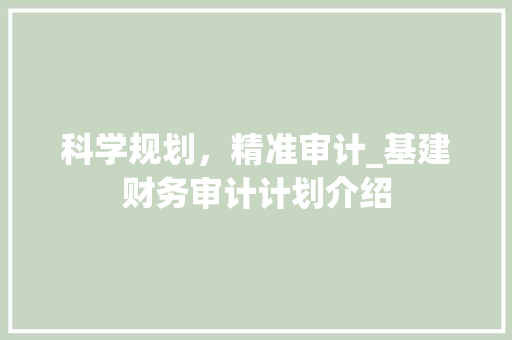 科学规划，精准审计_基建财务审计计划介绍