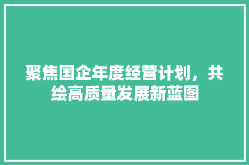 聚焦国企年度经营计划，共绘高质量发展新蓝图 汉字拼音
