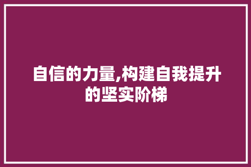 自信的力量,构建自我提升的坚实阶梯 汉字拼音