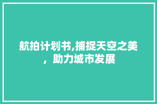 航拍计划书,捕捉天空之美，助力城市发展