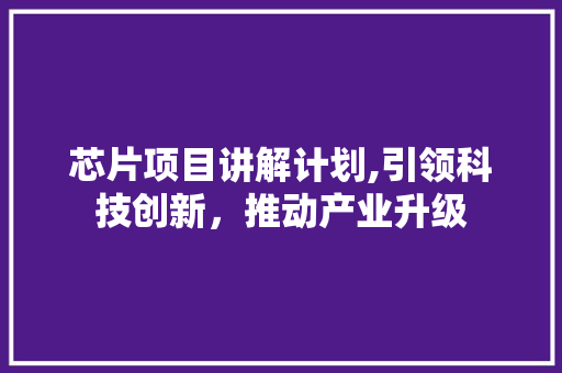 芯片项目讲解计划,引领科技创新，推动产业升级