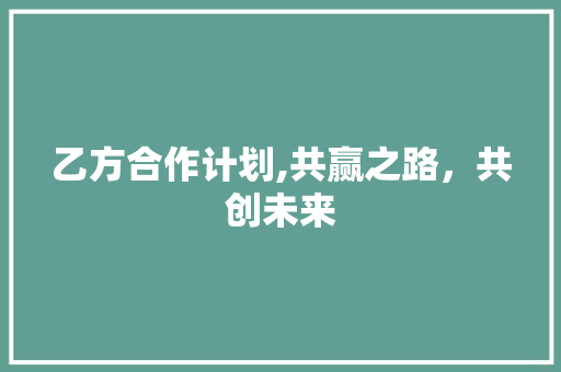 乙方合作计划,共赢之路，共创未来