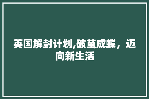 英国解封计划,破茧成蝶，迈向新生活