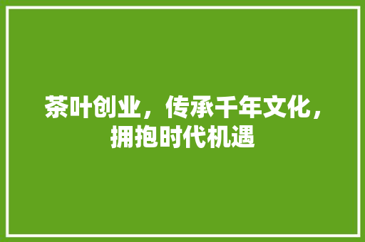 茶叶创业，传承千年文化，拥抱时代机遇