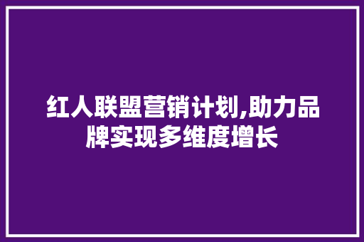 红人联盟营销计划,助力品牌实现多维度增长