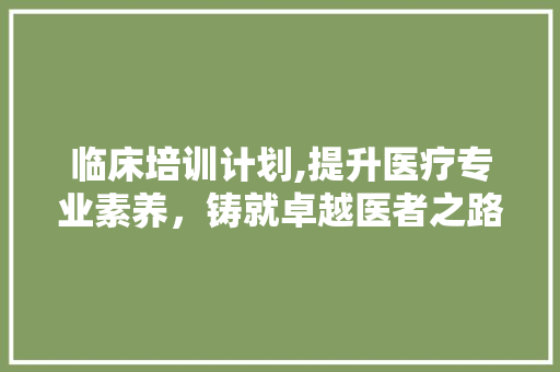 临床培训计划,提升医疗专业素养，铸就卓越医者之路