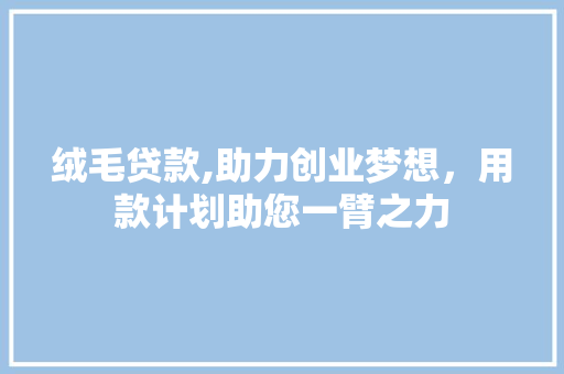 绒毛贷款,助力创业梦想，用款计划助您一臂之力