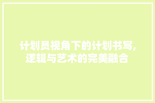 计划员视角下的计划书写,逻辑与艺术的完美融合