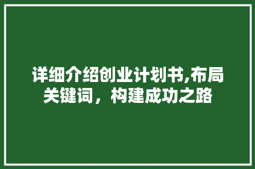 详细介绍创业计划书,布局关键词，构建成功之路