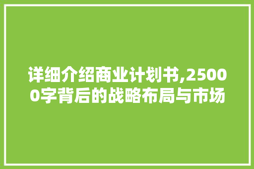 详细介绍商业计划书,25000字背后的战略布局与市场洞察