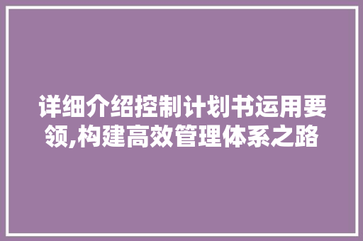 详细介绍控制计划书运用要领,构建高效管理体系之路