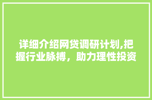 详细介绍网贷调研计划,把握行业脉搏，助力理性投资