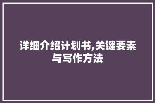 详细介绍计划书,关键要素与写作方法