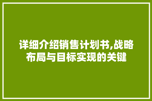 详细介绍销售计划书,战略布局与目标实现的关键 问答