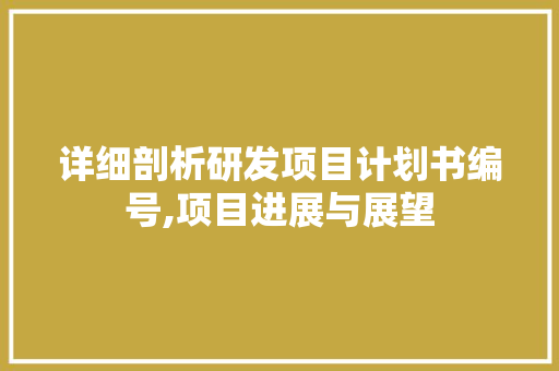 详细剖析研发项目计划书编号,项目进展与展望 汉字拼音