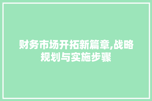 财务市场开拓新篇章,战略规划与实施步骤