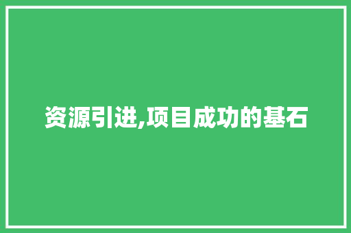 资源引进,项目成功的基石