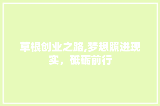 草根创业之路,梦想照进现实，砥砺前行