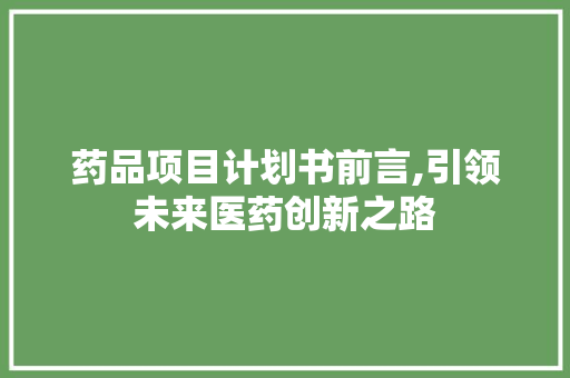 药品项目计划书前言,引领未来医药创新之路