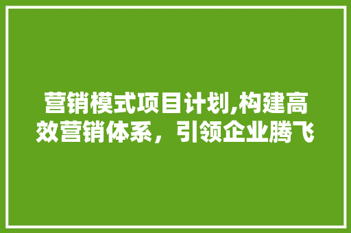 营销模式项目计划,构建高效营销体系，引领企业腾飞