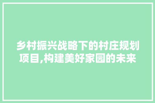 乡村振兴战略下的村庄规划项目,构建美好家园的未来蓝图