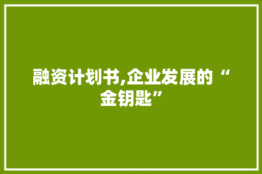 融资计划书,企业发展的“金钥匙”