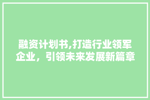 融资计划书,打造行业领军企业，引领未来发展新篇章
