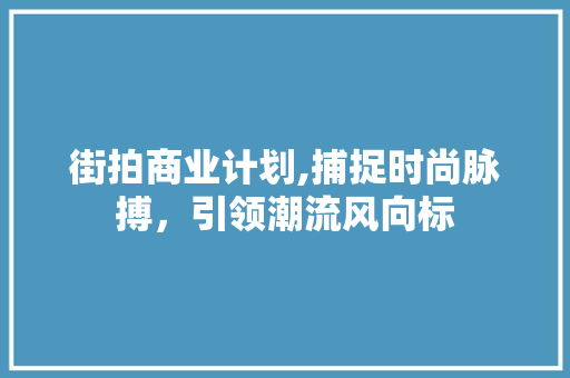 街拍商业计划,捕捉时尚脉搏，引领潮流风向标