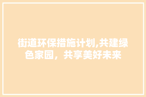 街道环保措施计划,共建绿色家园，共享美好未来