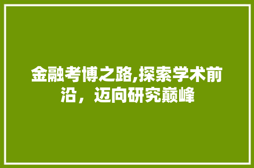金融考博之路,探索学术前沿，迈向研究巅峰