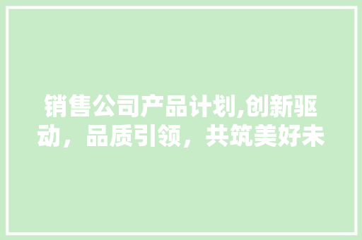 销售公司产品计划,创新驱动，品质引领，共筑美好未来