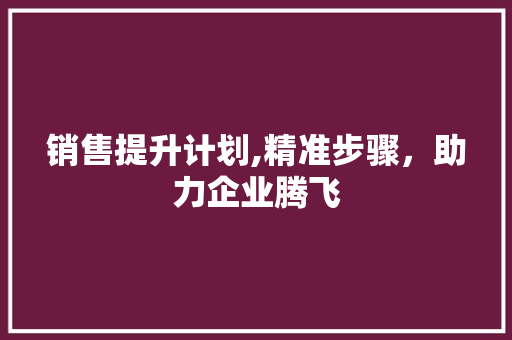 销售提升计划,精准步骤，助力企业腾飞