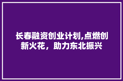 长春融资创业计划,点燃创新火花，助力东北振兴