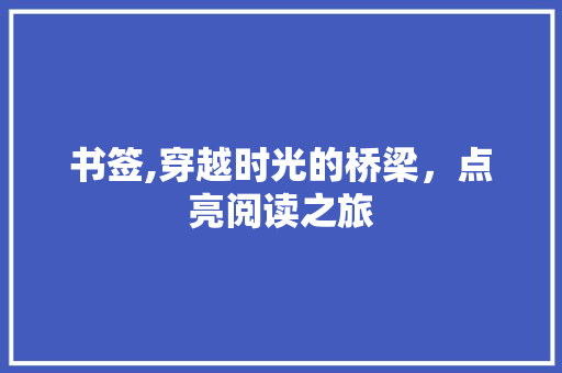 书签,穿越时光的桥梁，点亮阅读之旅