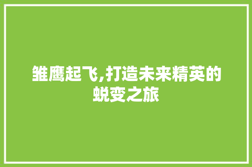 雏鹰起飞,打造未来精英的蜕变之旅