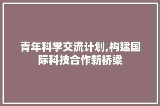 青年科学交流计划,构建国际科技合作新桥梁