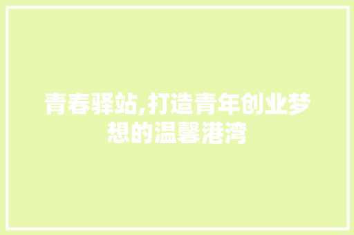 青春驿站,打造青年创业梦想的温馨港湾 汉字拼音