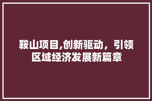 鞍山项目,创新驱动，引领区域经济发展新篇章