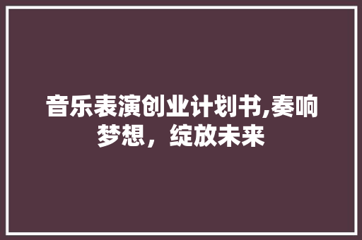 音乐表演创业计划书,奏响梦想，绽放未来