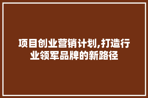 项目创业营销计划,打造行业领军品牌的新路径