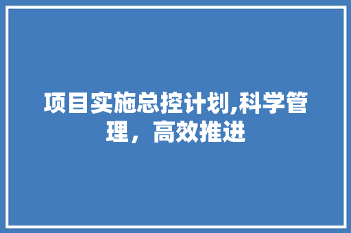 项目实施总控计划,科学管理，高效推进